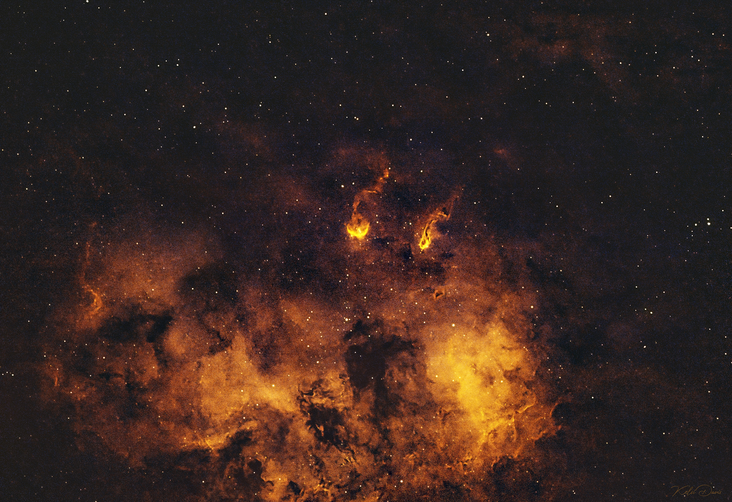 Tadpoles